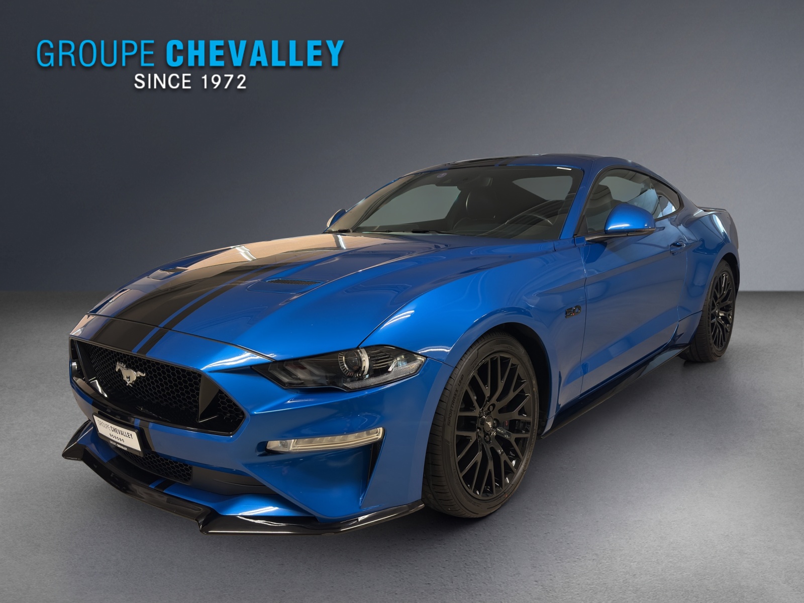 Photo FORD MUSTANG Mustang FB 5.0 V8 GT