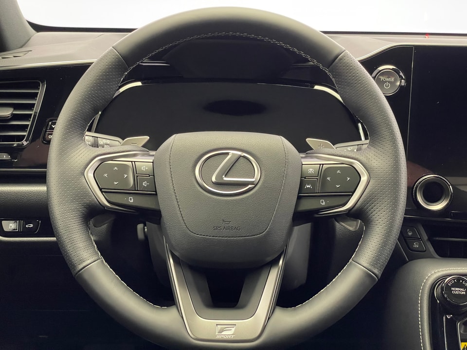 NX 350h F Sport E-FOUR Voll-Hybrid