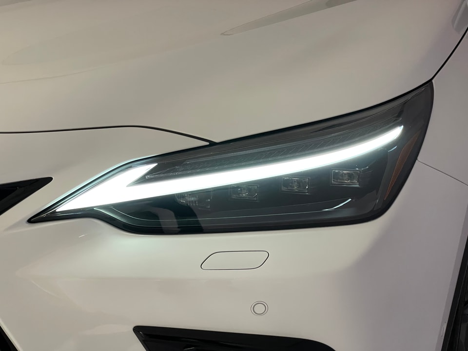 NX 350h F Sport E-FOUR Voll-Hybrid