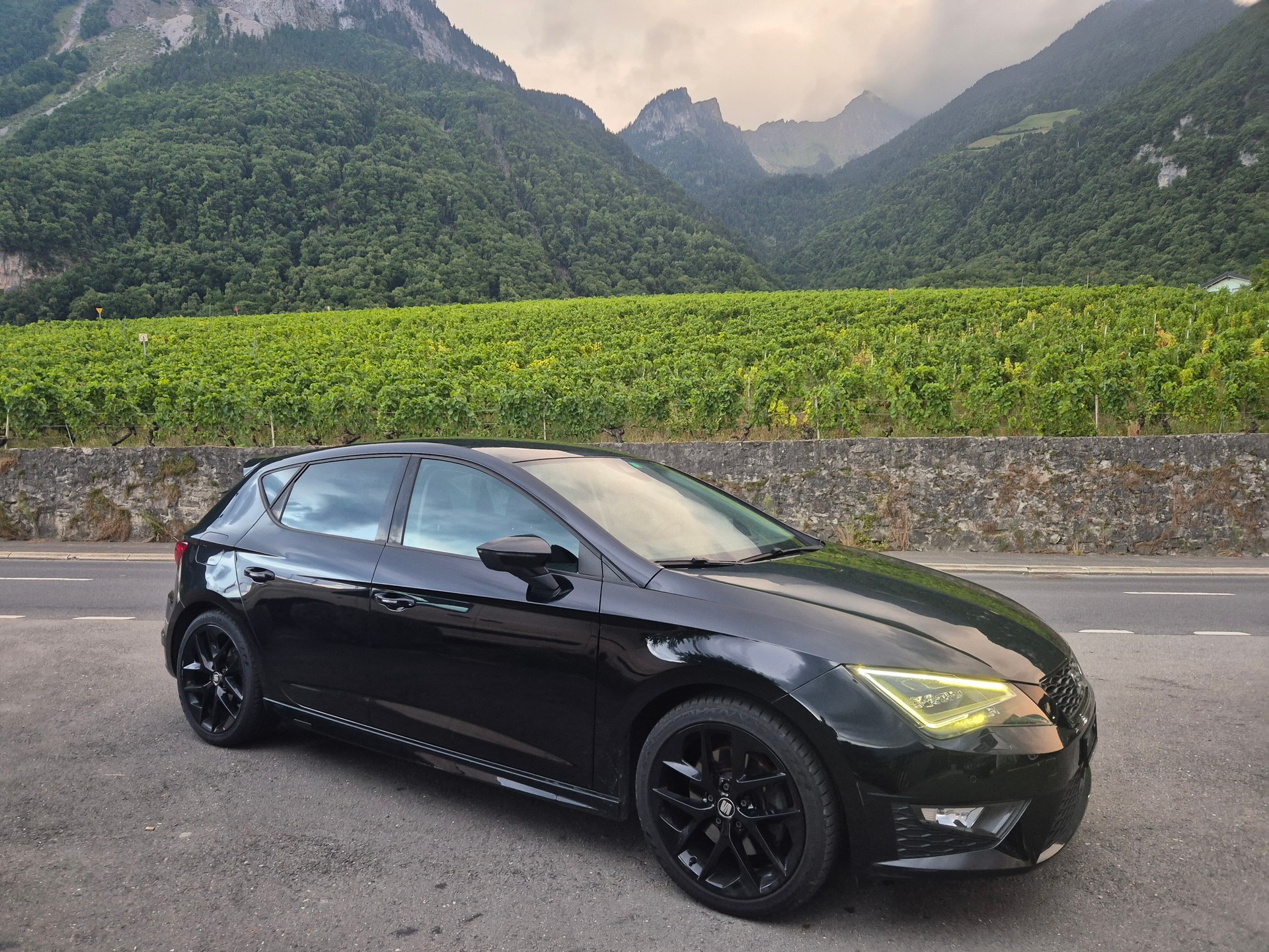 SEAT Leon 2.0 TDI FR-Evolution DSG