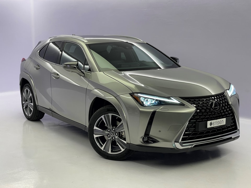 UX 300e Excellence Electric