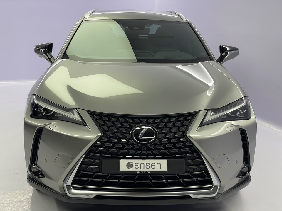 UX 300e Excellence Electric