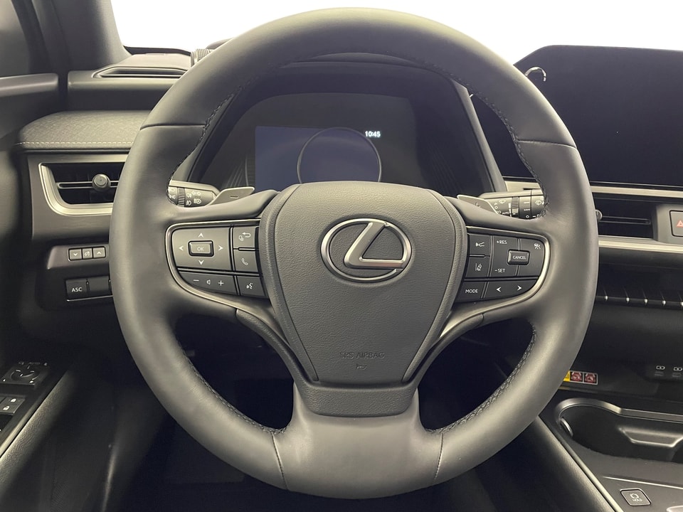 UX 300e Excellence Electric