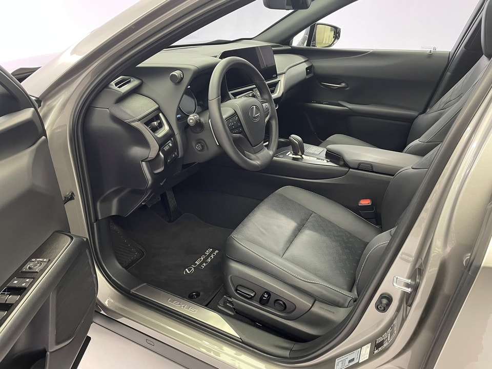 UX 300e Excellence Electric