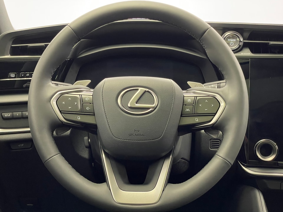 RZ 450e Excellence Direct4 Electric