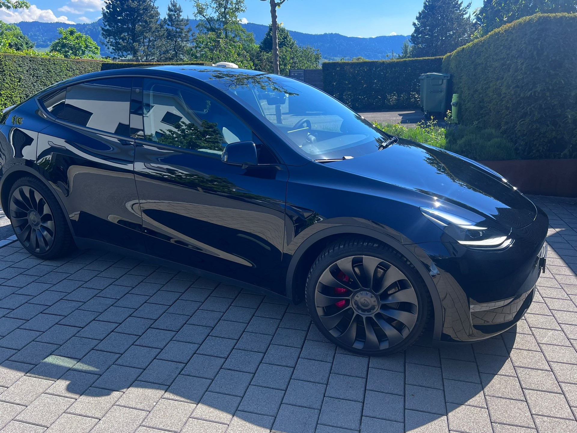 TESLA Model Y Performance-image-3