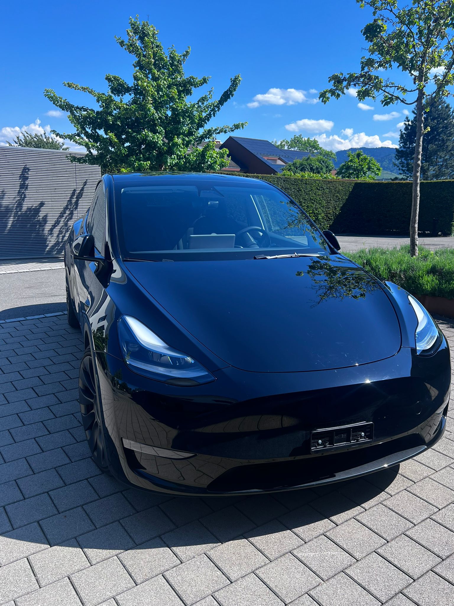TESLA Model Y Performance-image-4