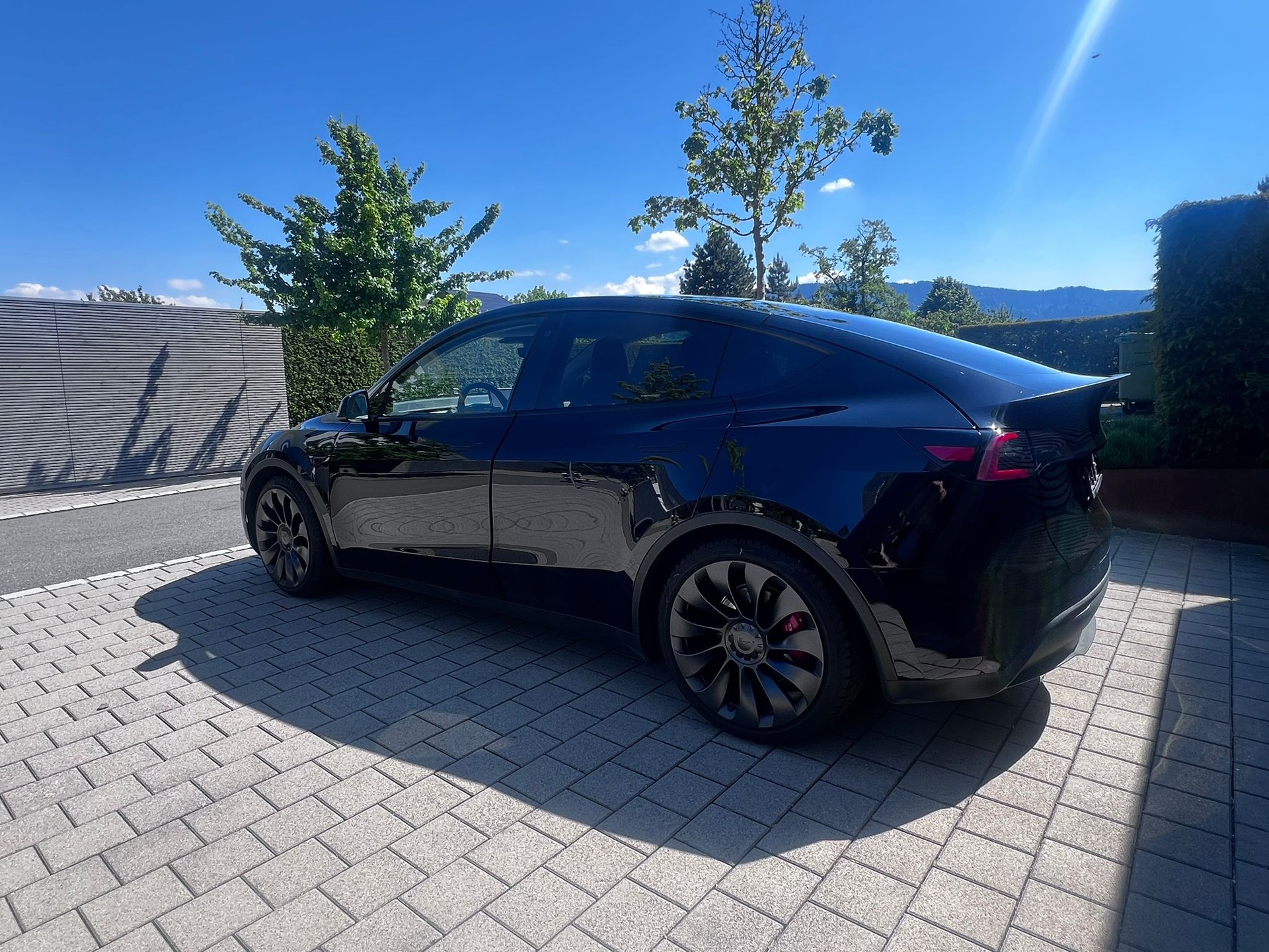 TESLA Model Y Performance-image-2