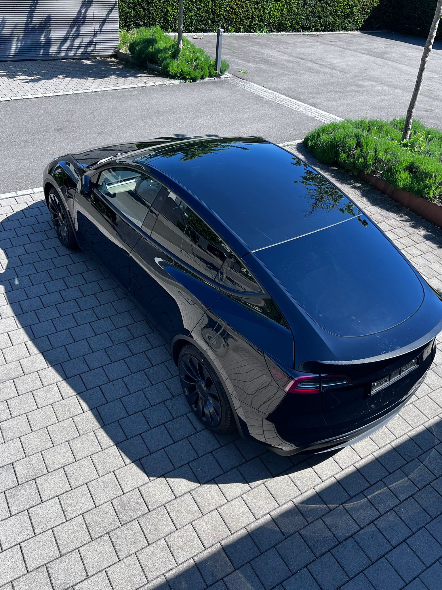 TESLA Model Y Performance-image-6