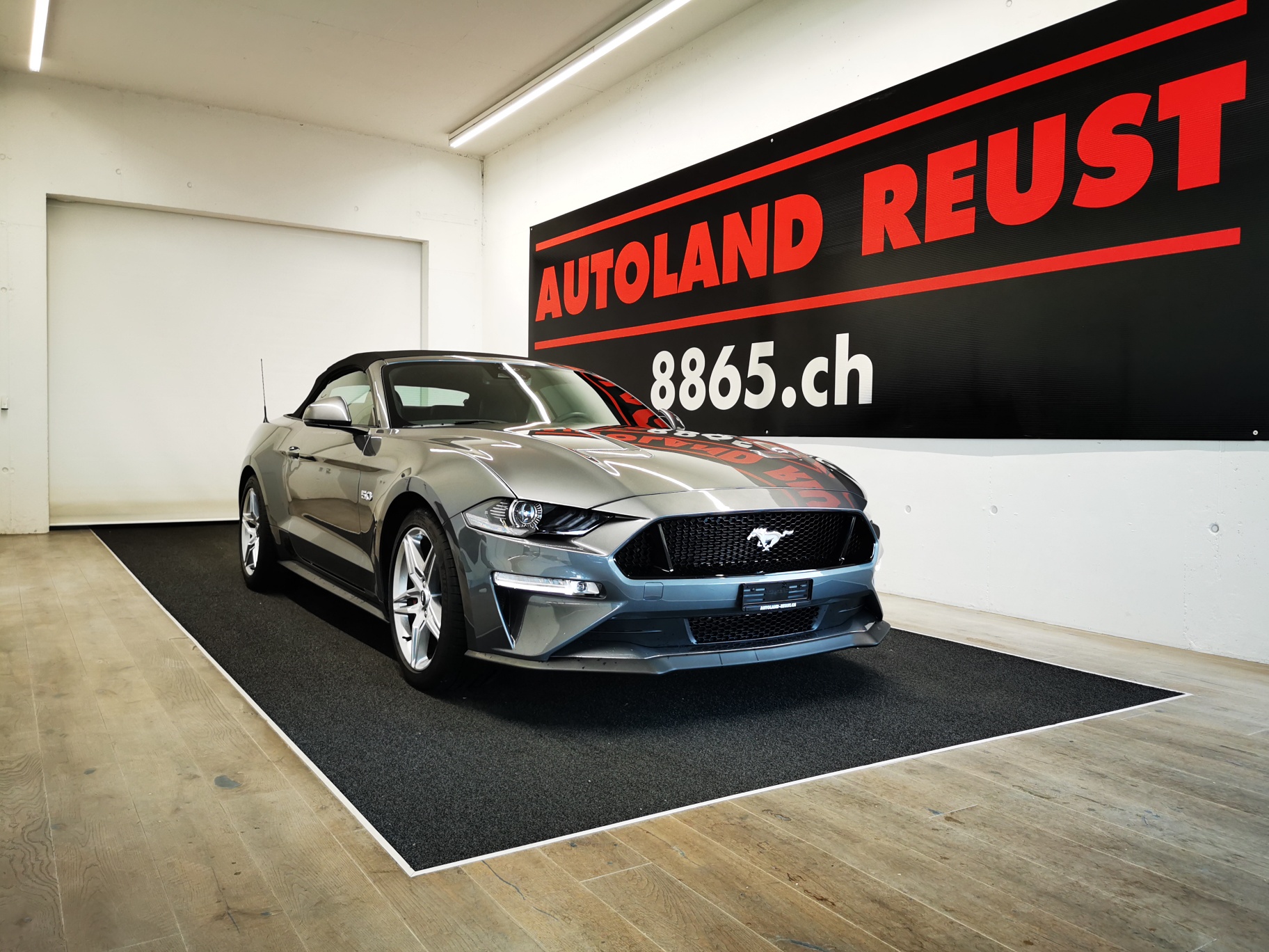 FORD MUSTANG - Occasionen kaufen