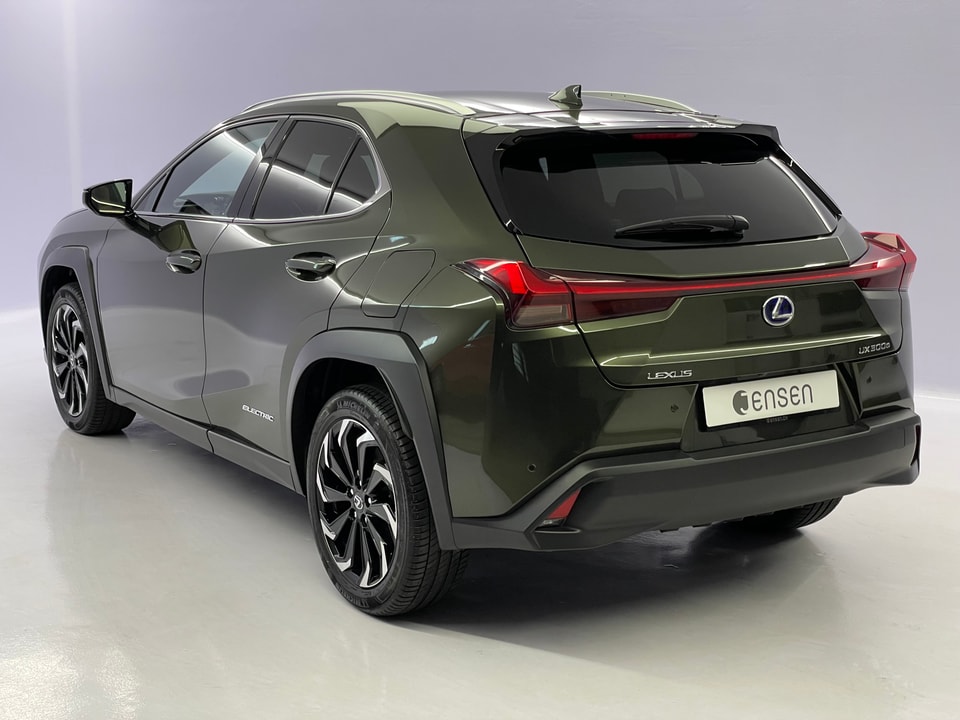 UX 300e Excellence Electric