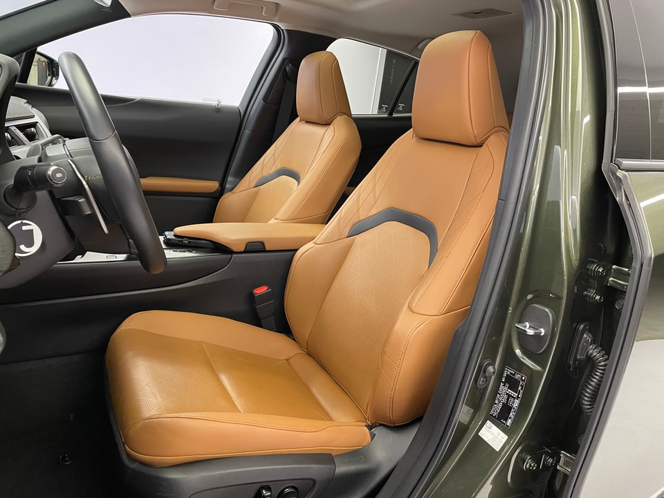 UX 300e Excellence Electric