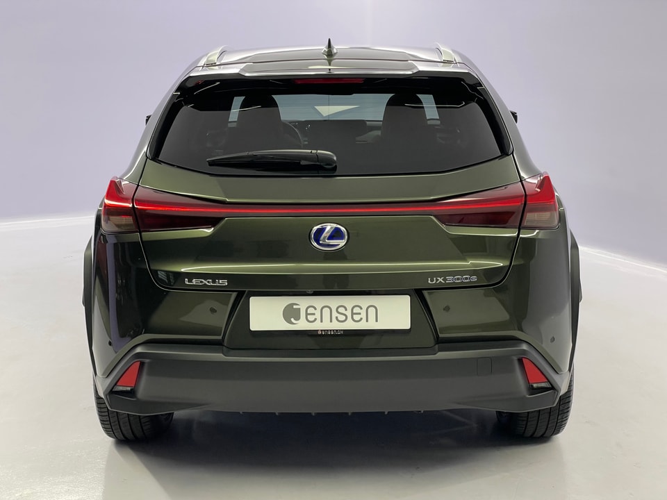 UX 300e Excellence Electric