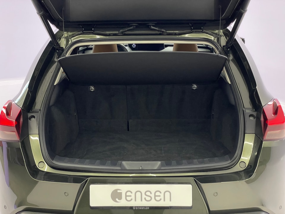 UX 300e Excellence Electric