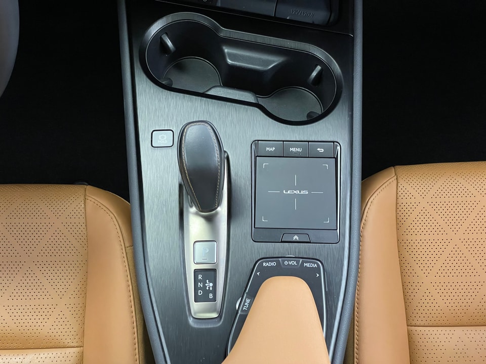 UX 300e Excellence Electric