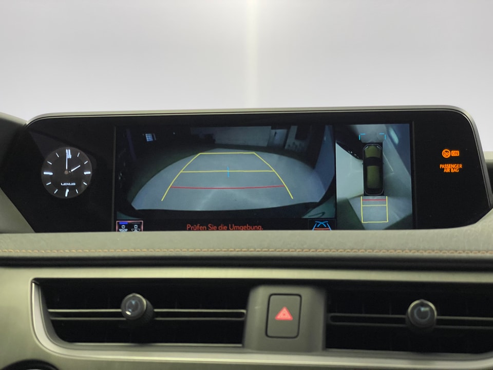 UX 300e Excellence Electric