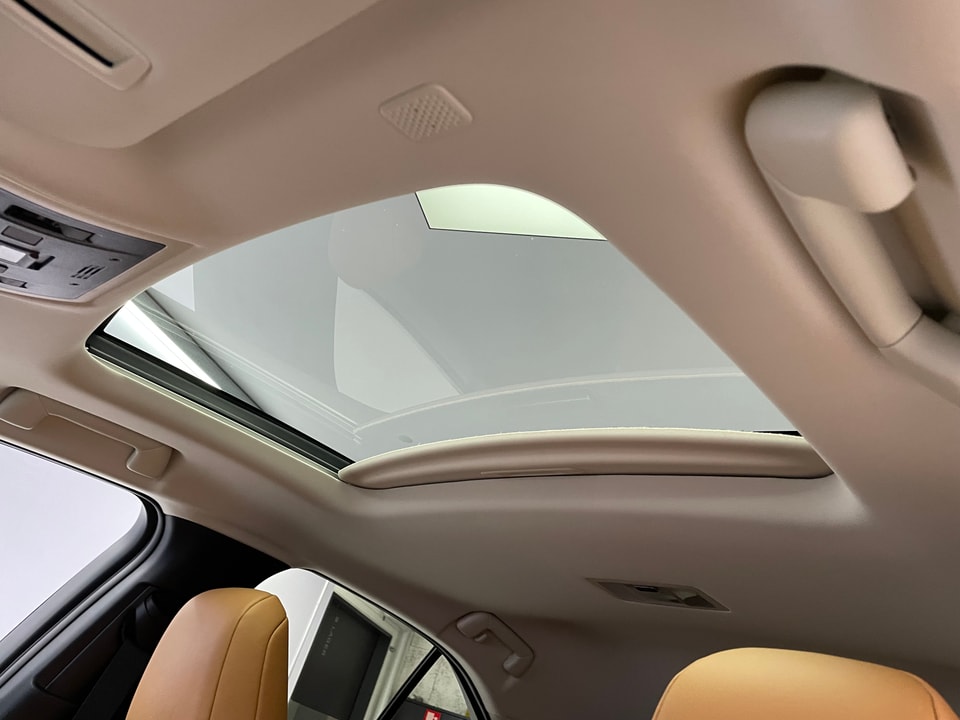 UX 300e Excellence Electric