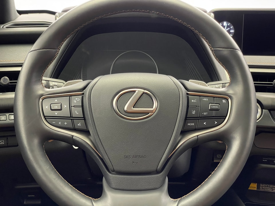 UX 300e Excellence Electric