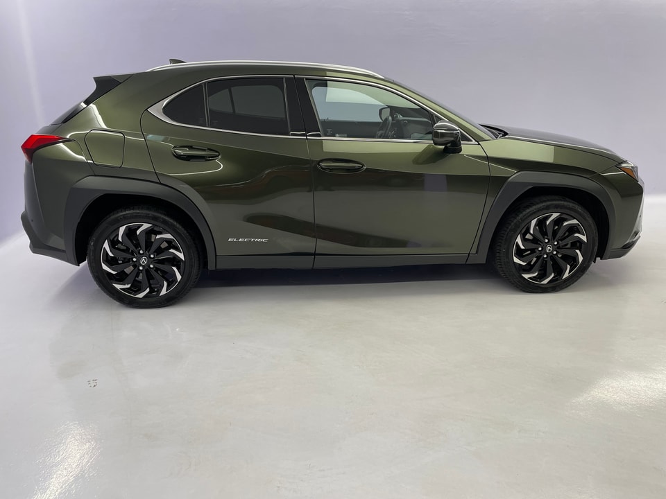 UX 300e Excellence Electric