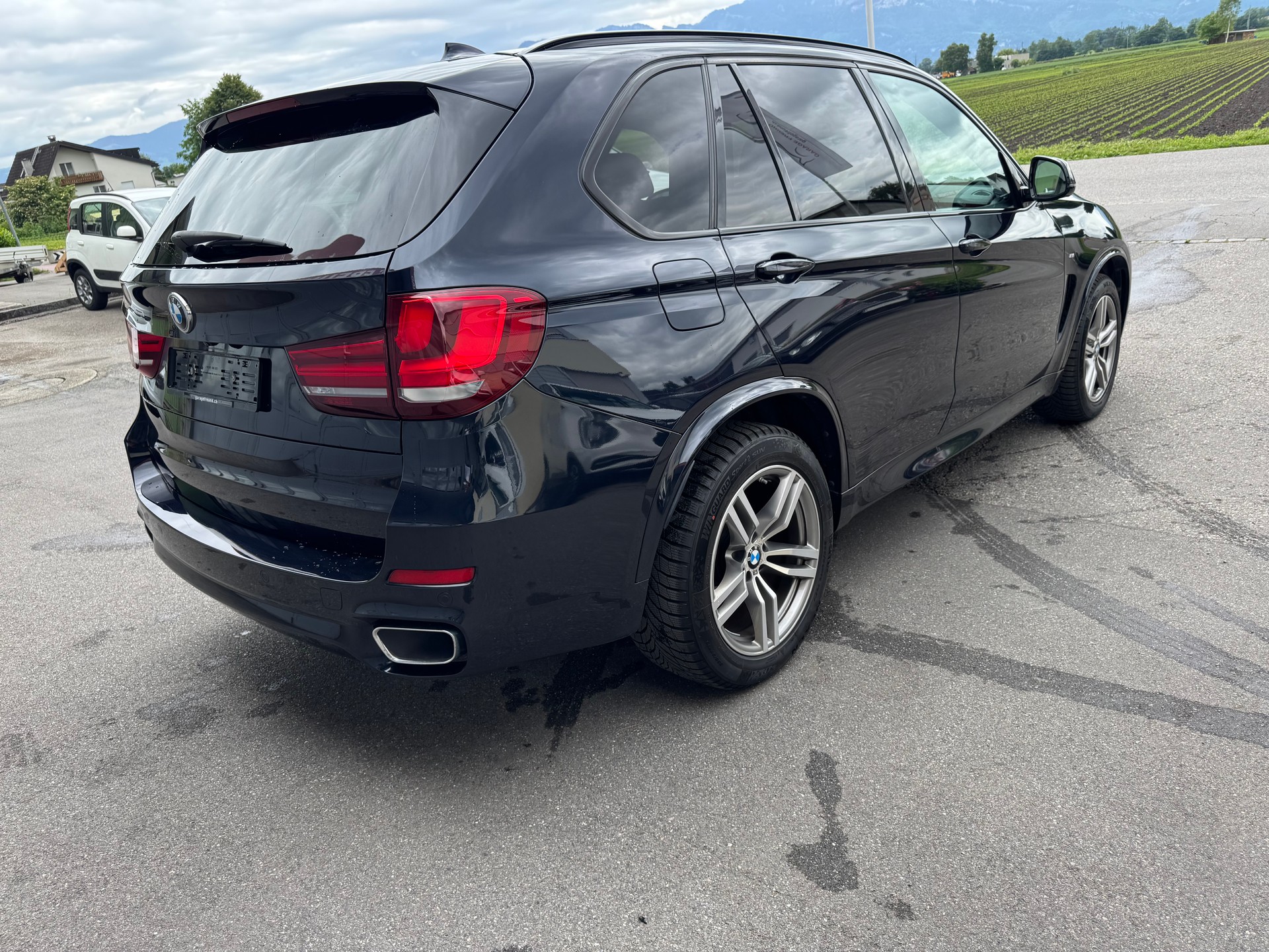BMW X5 xDrive M-Sport 30d Steptronic-showroom-element-2