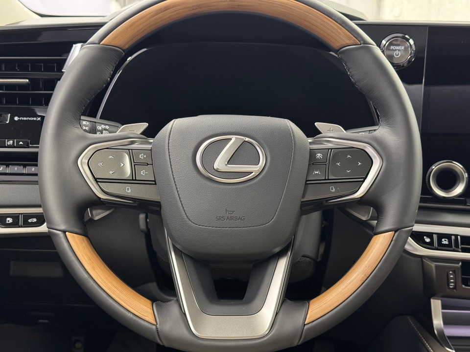 RX 450h+ Excellence E-FOUR Plug-in-Hybrid