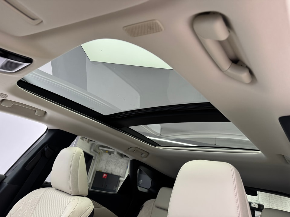 RX 450h+ Excellence E-FOUR Plug-in-Hybrid