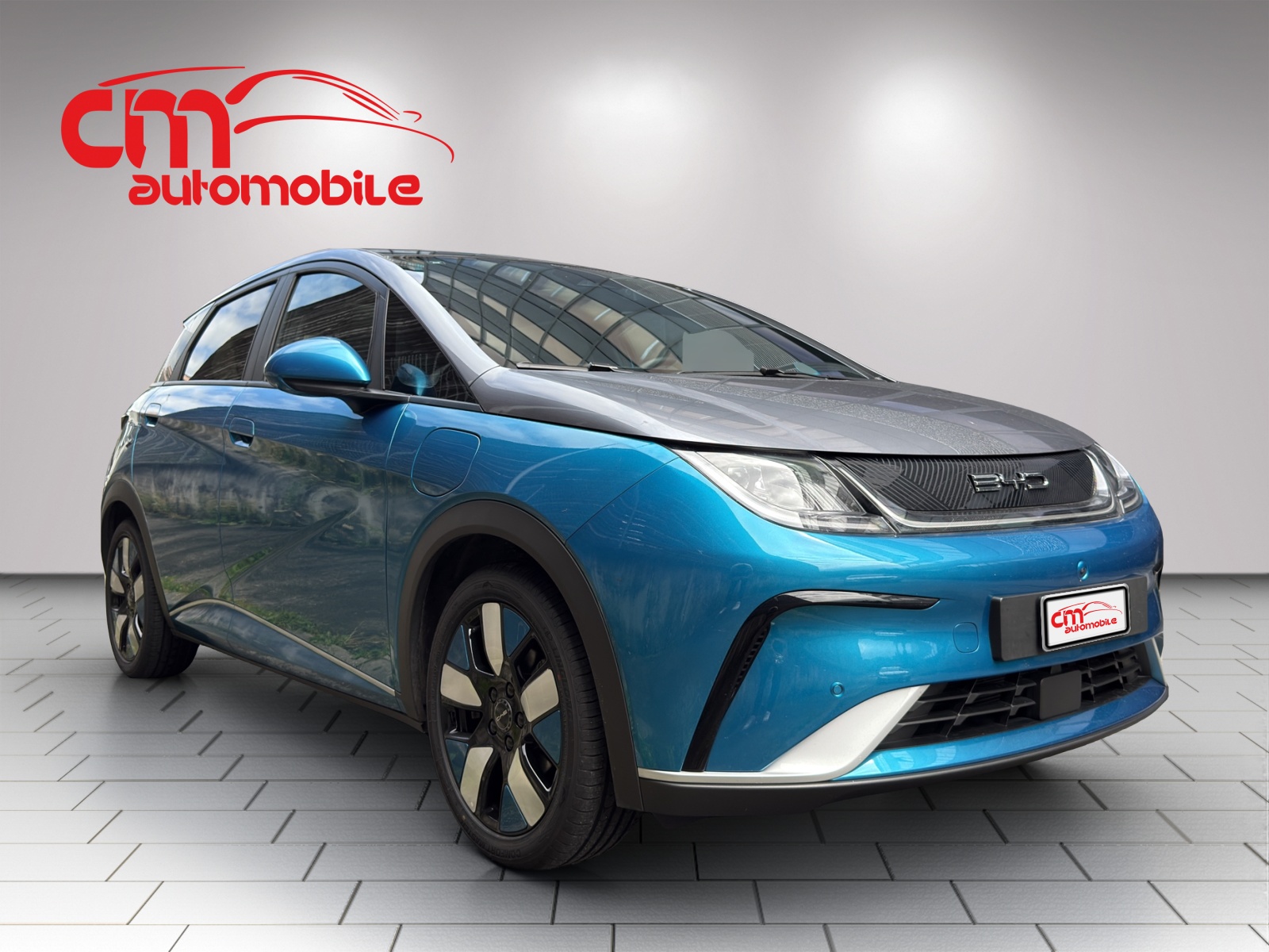 BYD Design-showroom-element-3