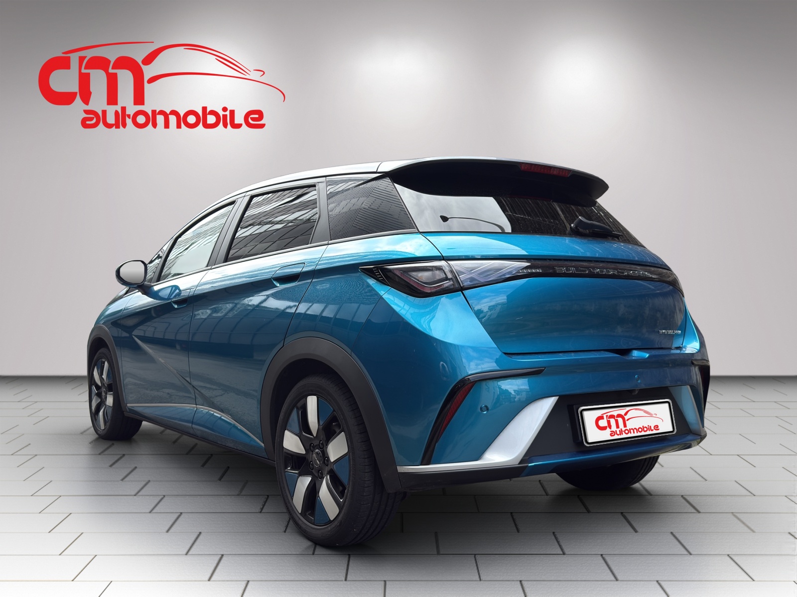 BYD Design-showroom-element-1