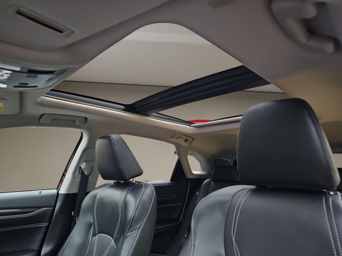 LEXUS RX 450h excellence AWD-image-10