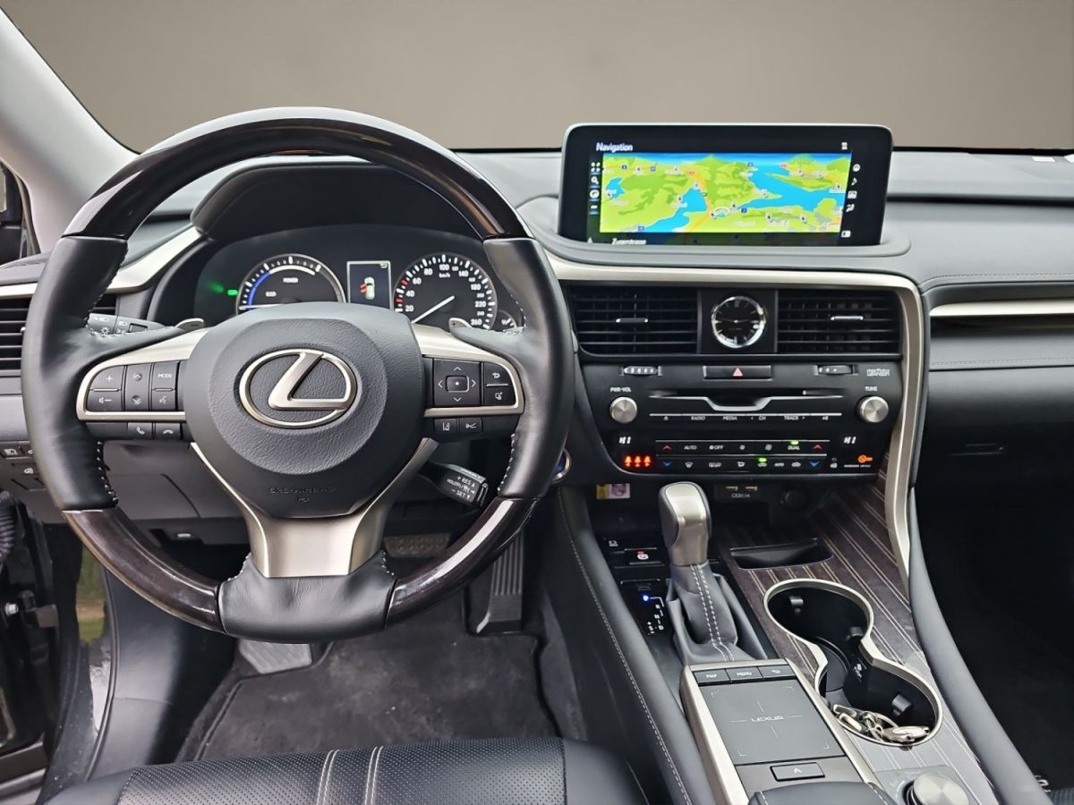 LEXUS RX 450h excellence AWD-image-13