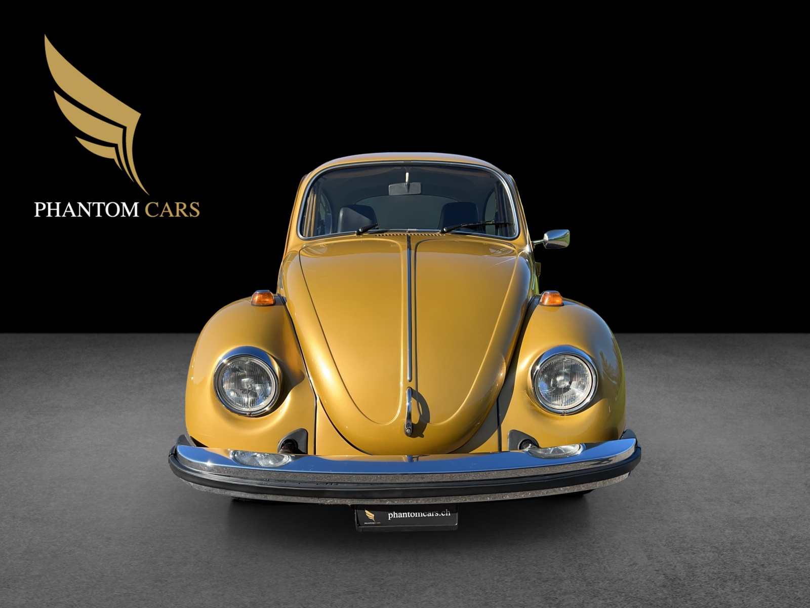 VW 1300 S-image-2