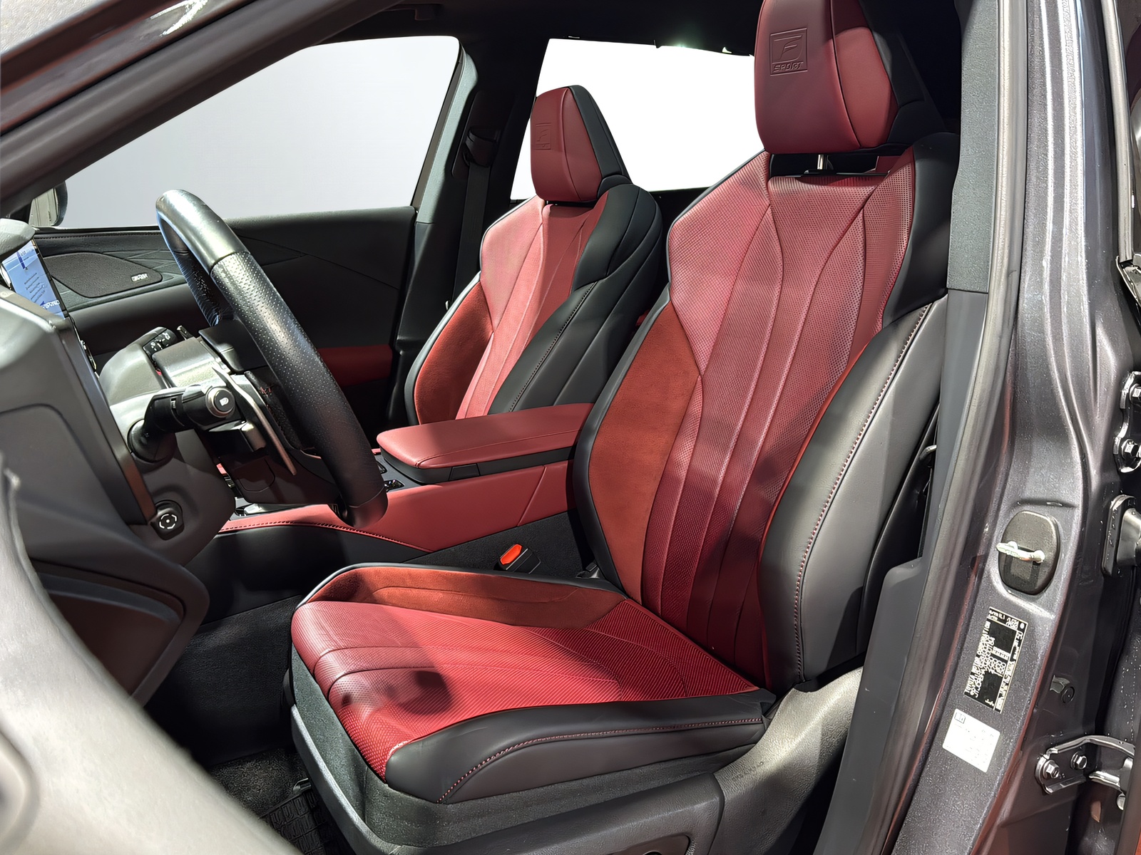 LEXUS RX 500h F Sport AWD-image-6