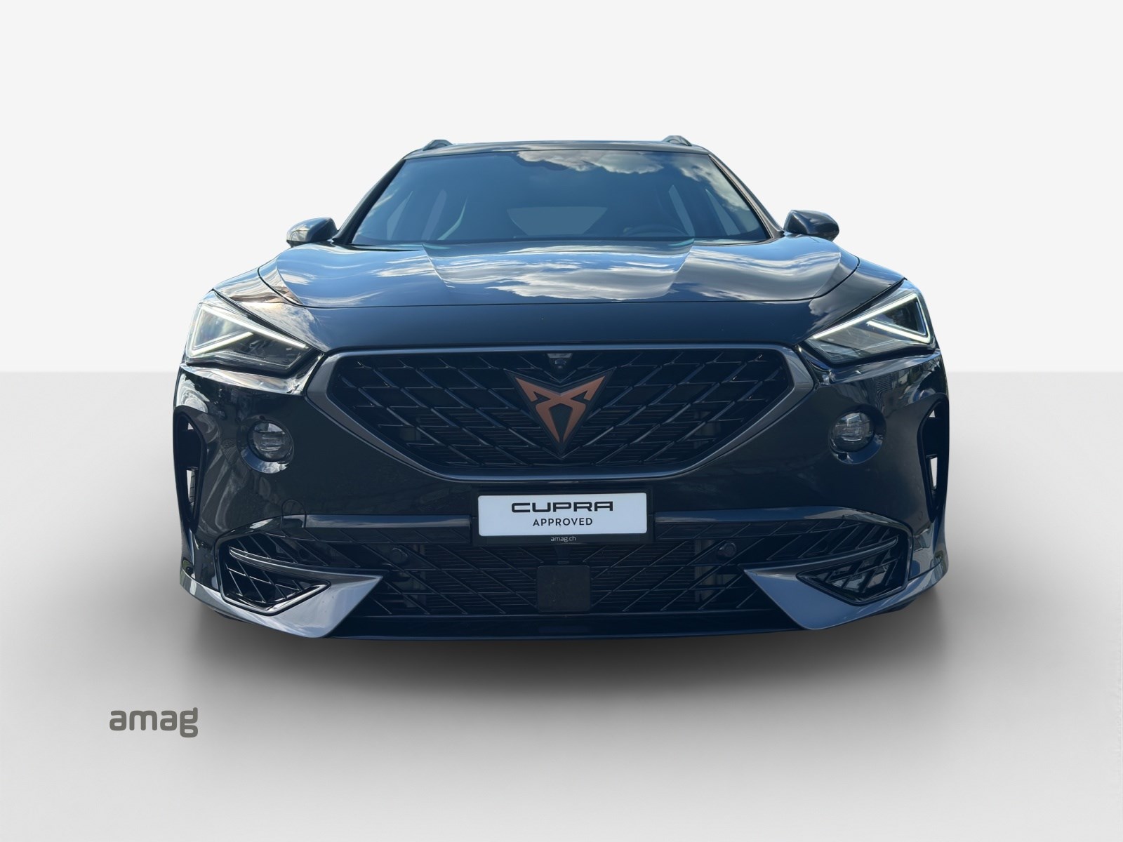 CUPRA Formentor 2.0TSI Tribe Edition 4Drive DSG-image-6
