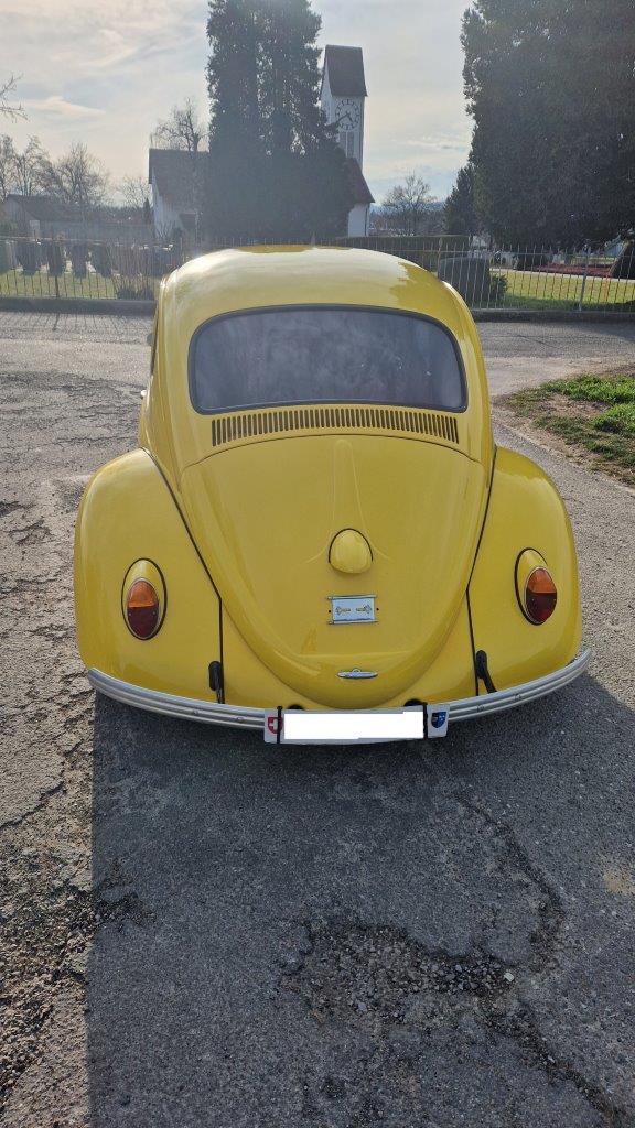 VW Käfer 1835m3-image-5