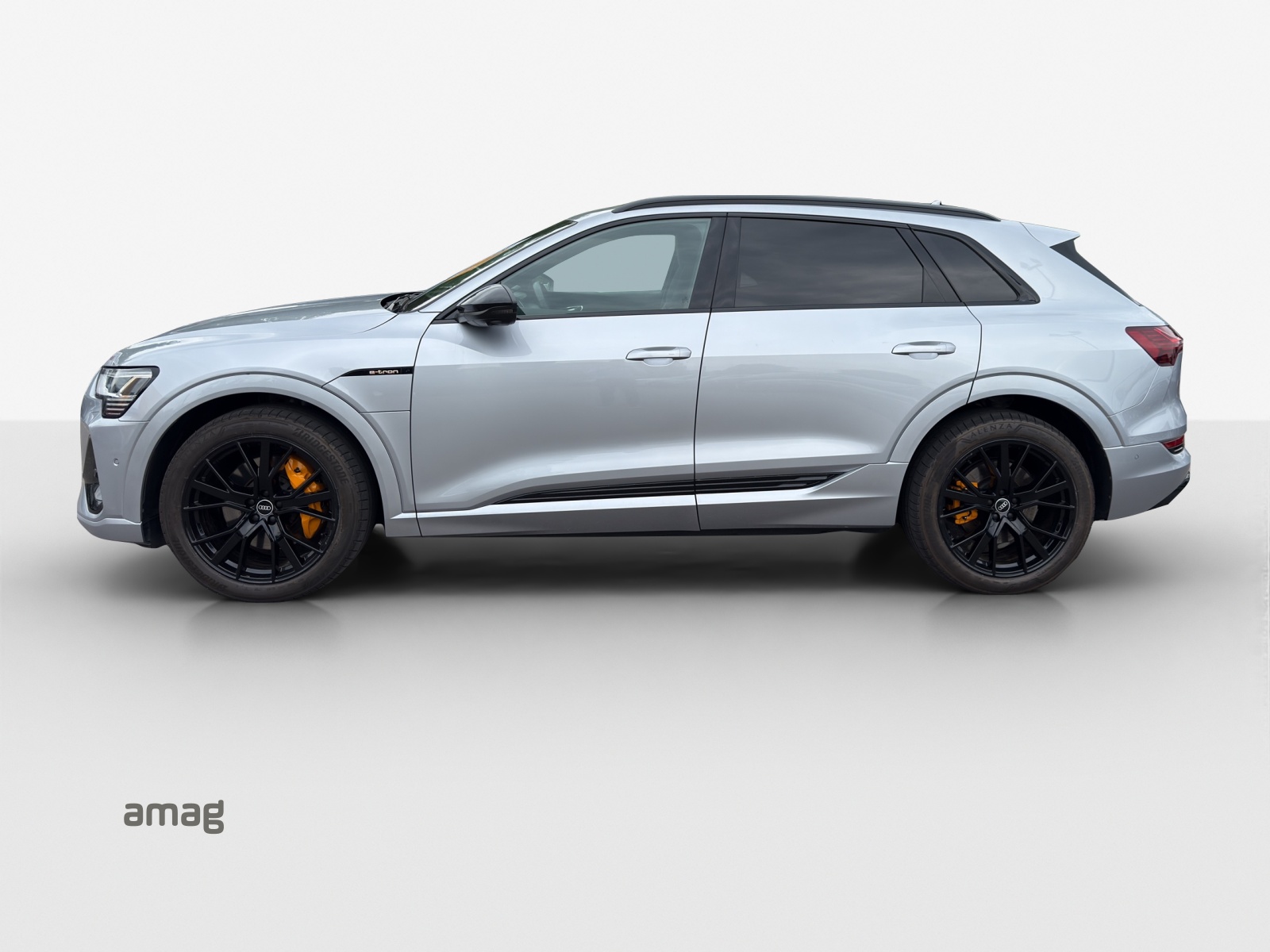 AUDI e-tron 55 S Line quattro-showroom-element-1