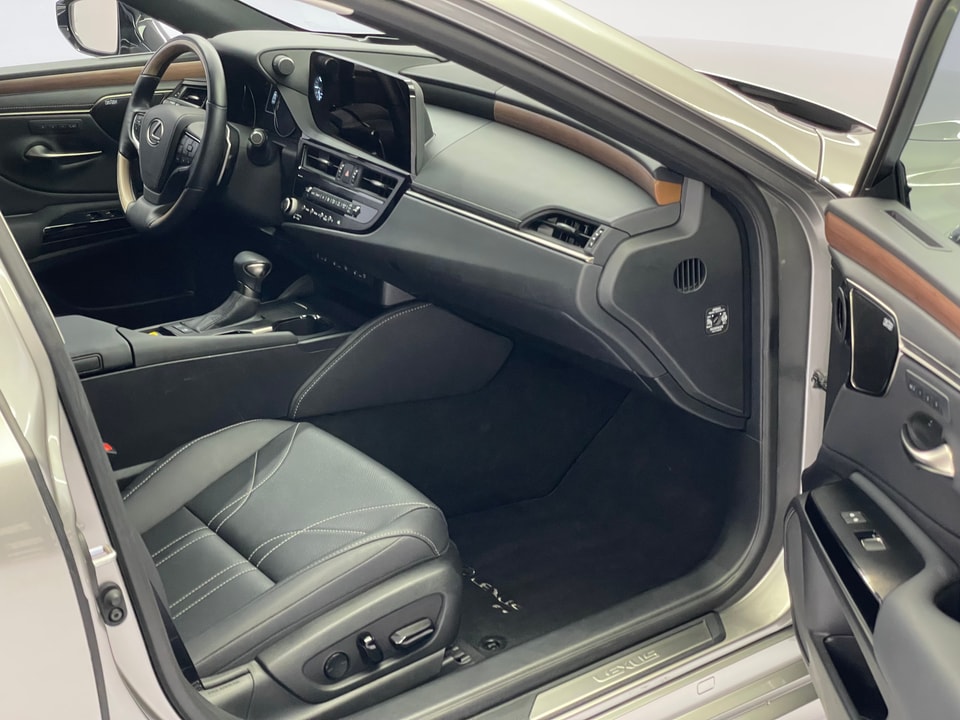 ES 300h Excellence Voll-Hybrid