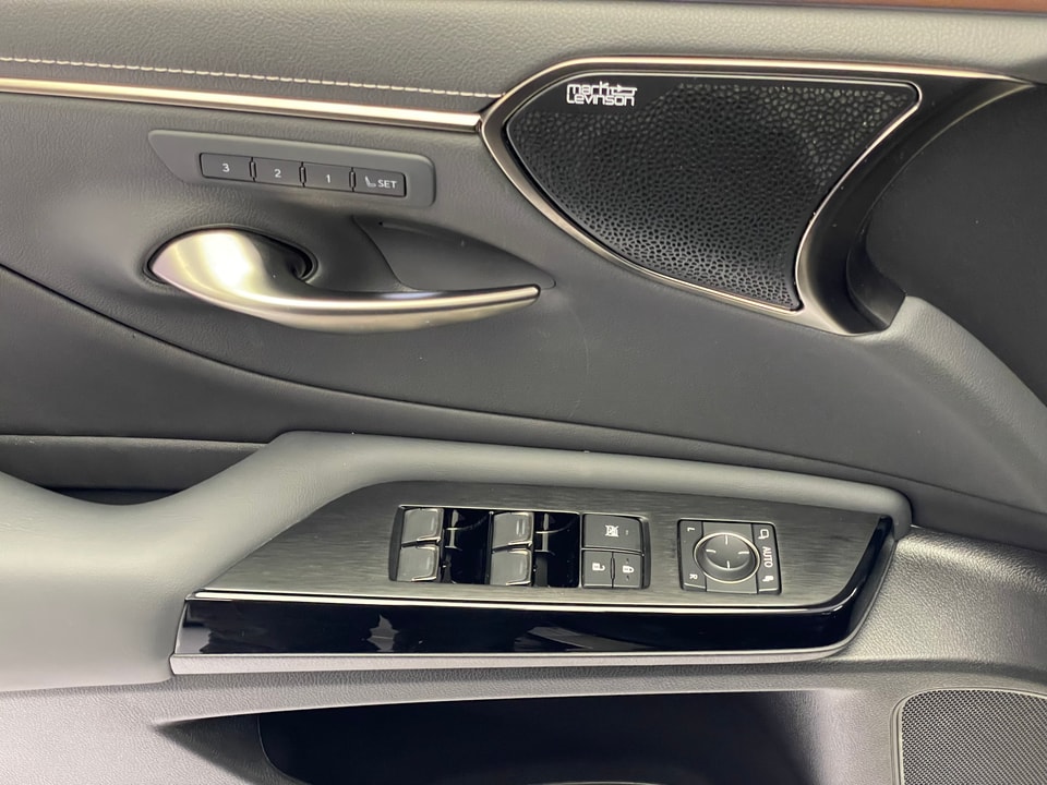 ES 300h Excellence Voll-Hybrid