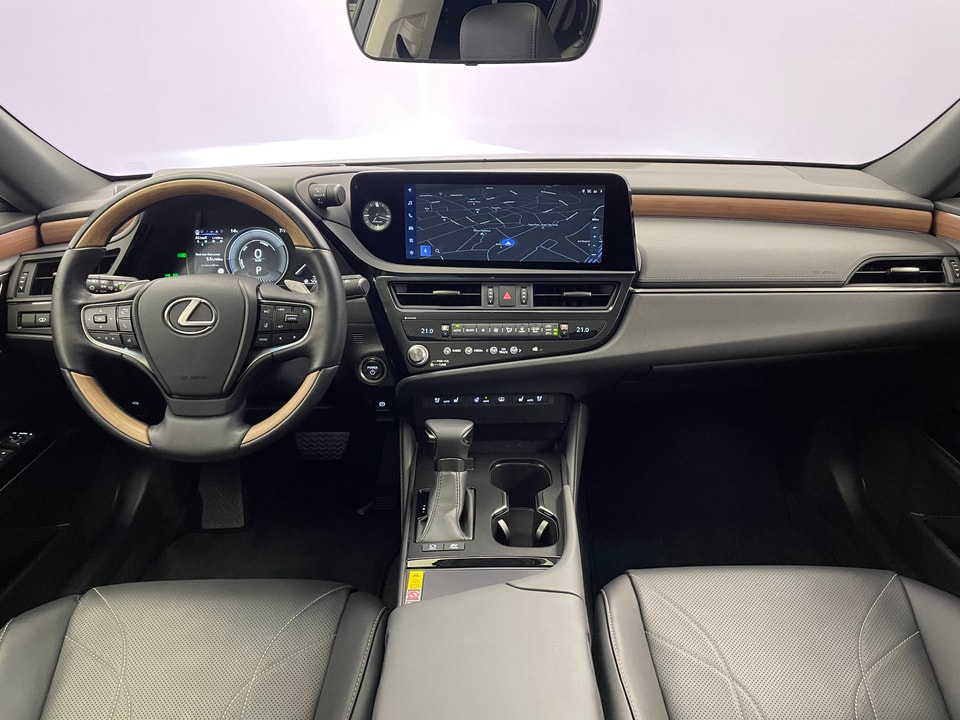 ES 300h Excellence Voll-Hybrid