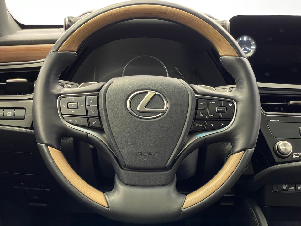ES 300h Excellence Voll-Hybrid