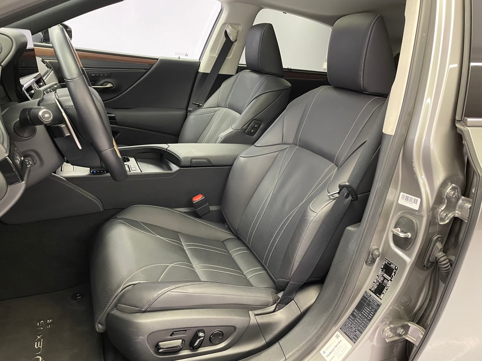 ES 300h Excellence Voll-Hybrid