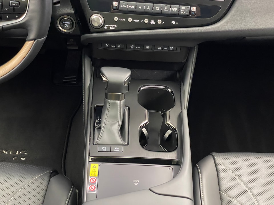 ES 300h Excellence Voll-Hybrid