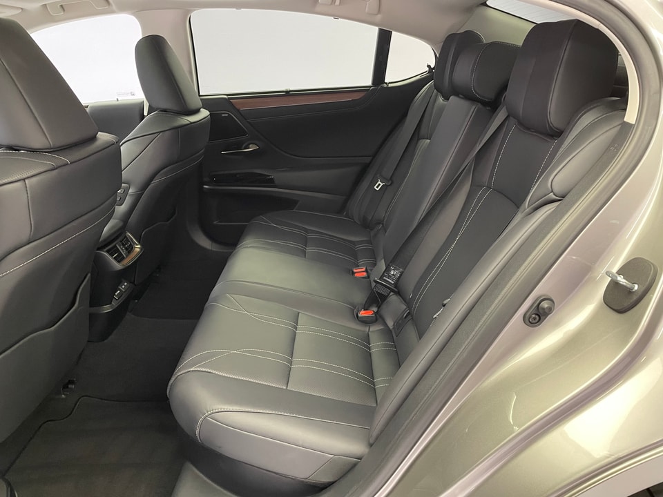 ES 300h Excellence Voll-Hybrid