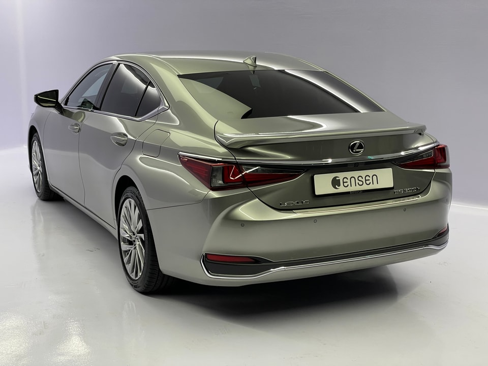 ES 300h Excellence Voll-Hybrid
