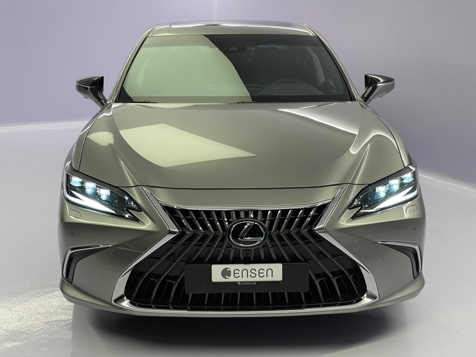 ES 300h Excellence Voll-Hybrid