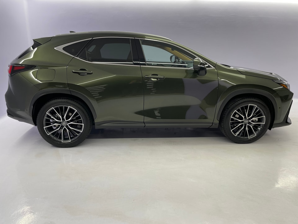 NX 450h+ Excellence E-FOUR Plug-in-Hybrid