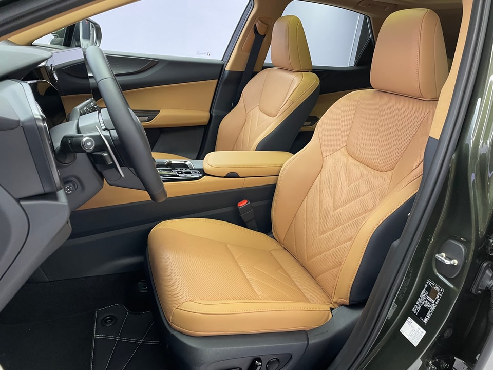 NX 450h+ Excellence E-FOUR Plug-in-Hybrid