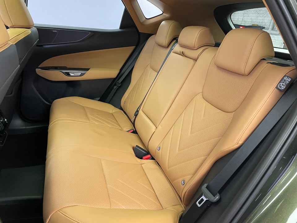 NX 450h+ Excellence E-FOUR Plug-in-Hybrid