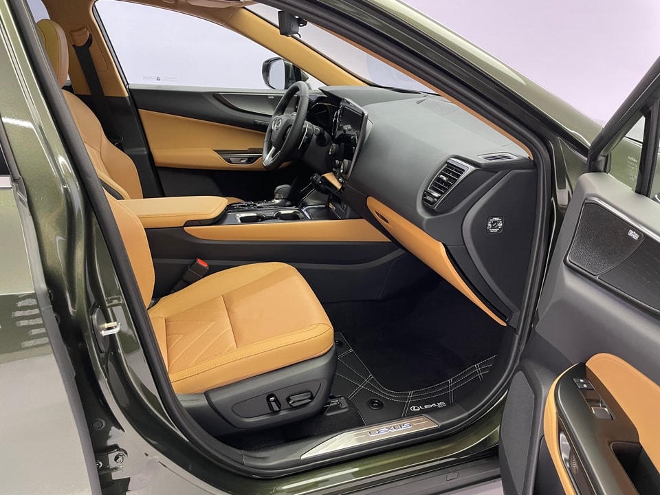 NX 450h+ Excellence E-FOUR Plug-in-Hybrid