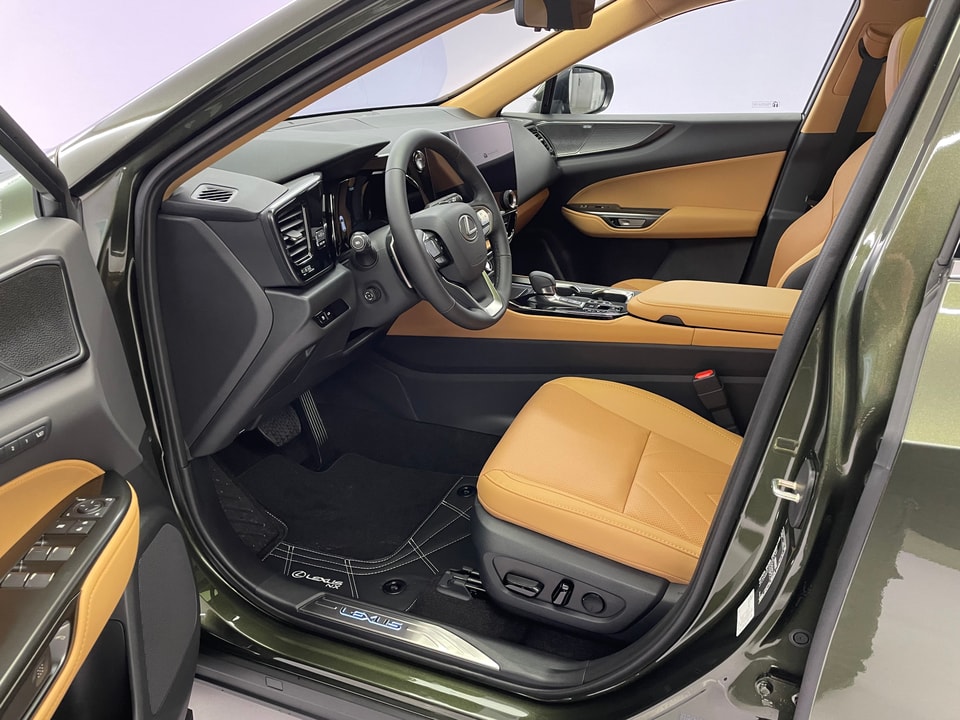 NX 450h+ Excellence E-FOUR Plug-in-Hybrid