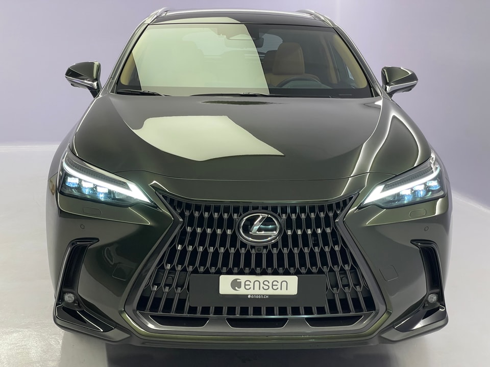 NX 450h+ Excellence E-FOUR Plug-in-Hybrid